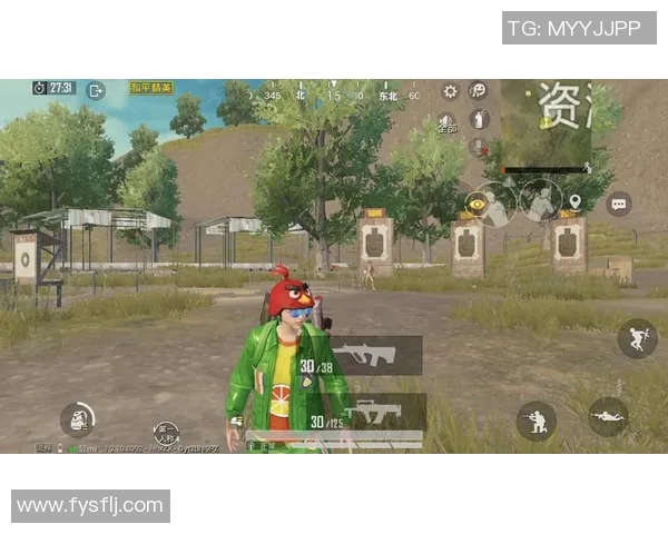 和平精英热议：BLG团队协作引发的争议与反思